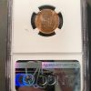 1953-d Wheat Penny in MS66 RD NGC