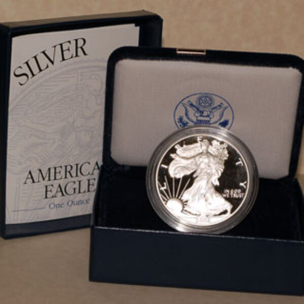 2002 Proof Silver Eagle
