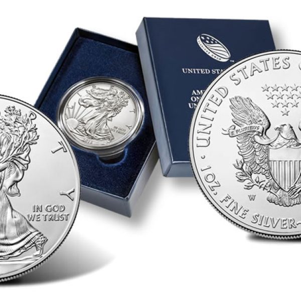 2015 W Burnished Silver American Eagle 