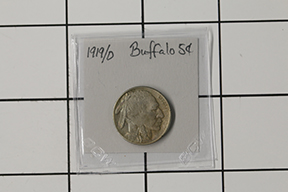 1919-D Buffalo Nickel