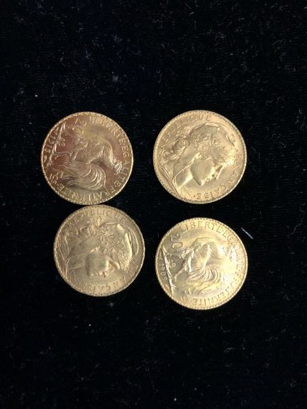 French 20 Franc Gold coin